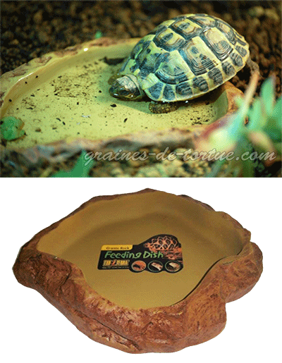 REPTILES PLANET Bassin mangeoire pour tortues ou reptiles Repti