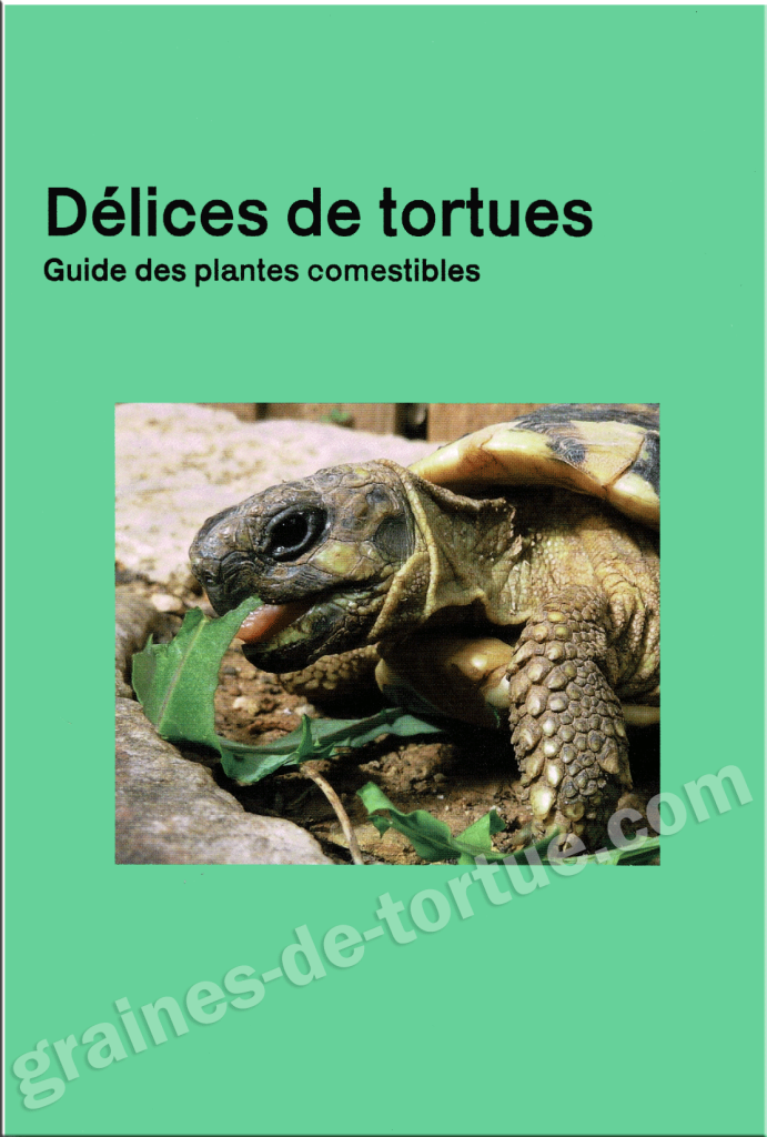 Plantes comestible pour tortues terrestres - La Ferme Aux Insectes