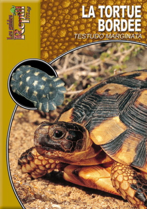 Livre_la_tortue_bordee