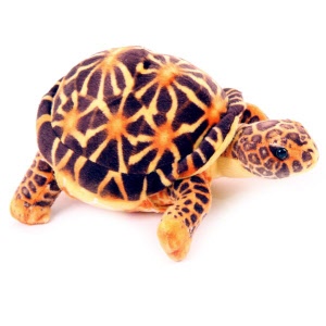 tortue_peluche