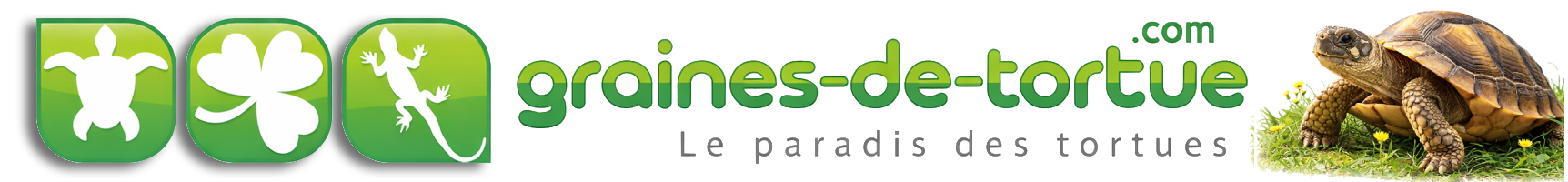 Graines pour tortues naturelles