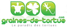 logo graines-de-tortue.com