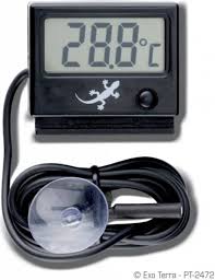 Thermomètre numérique pour terrarium iguane - Exo Terra